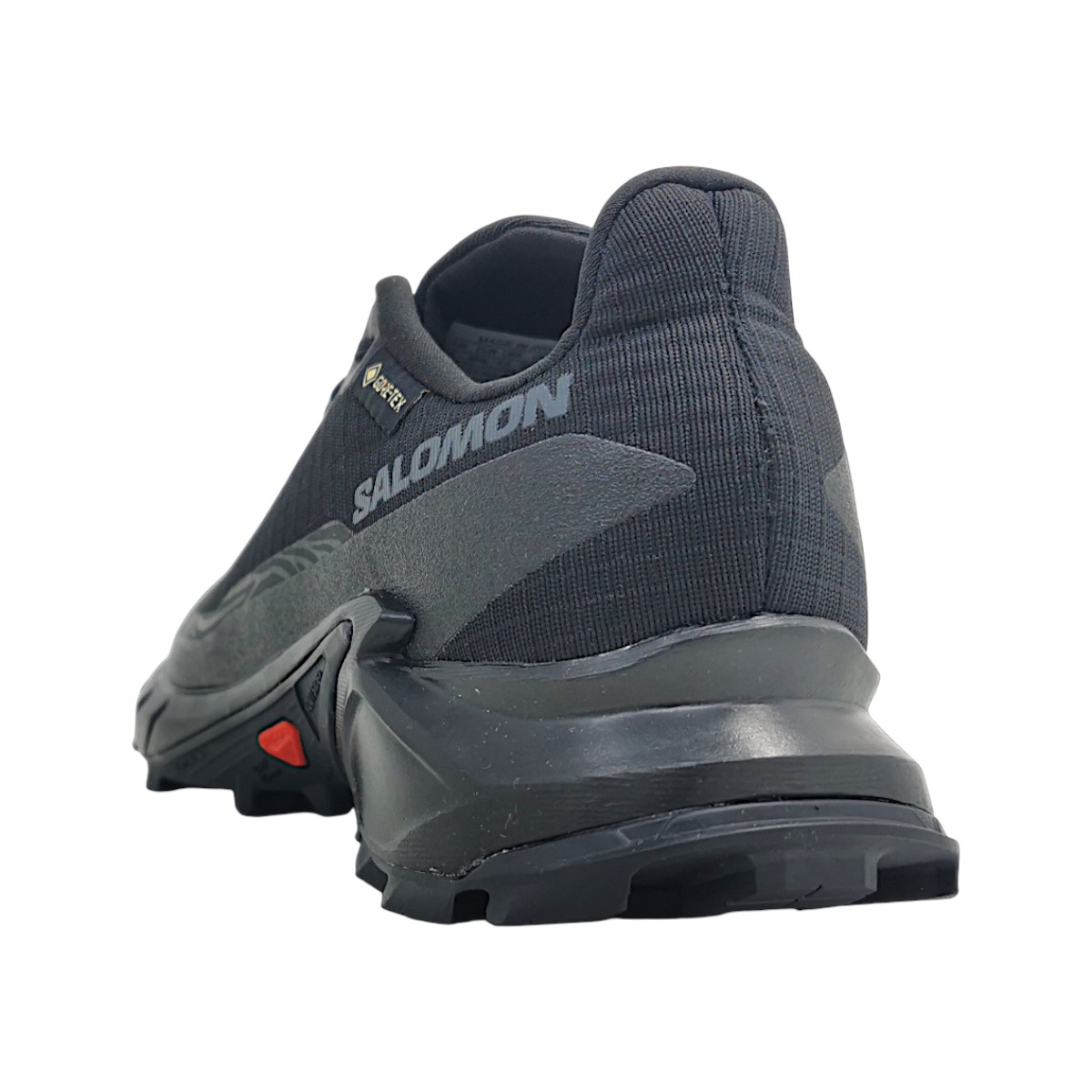 Salomon Alphacross 5 GTX L47310900 Schwarz black