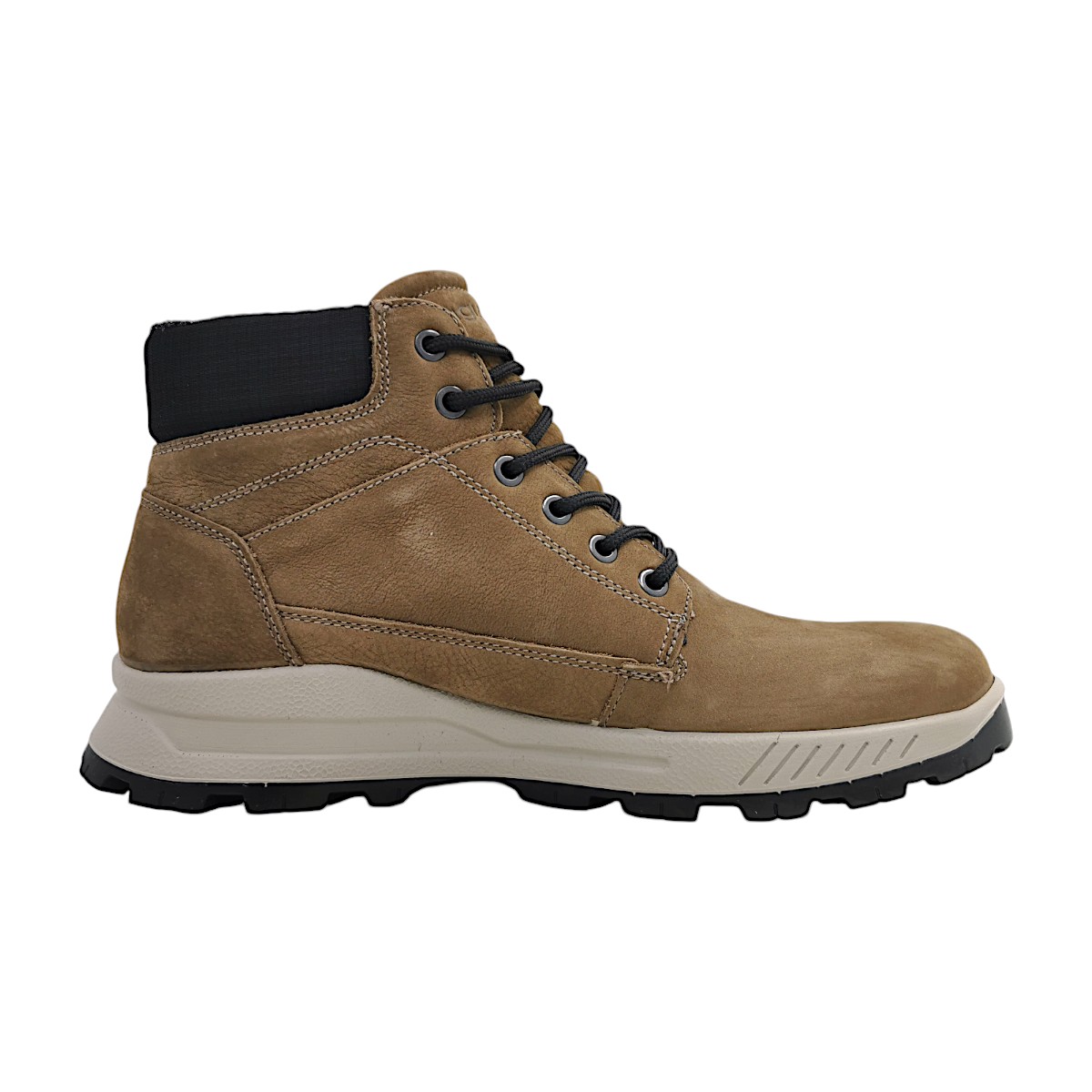 Igi & Co. U.ELOY GTX 6629711 Braun Fango Chiaro