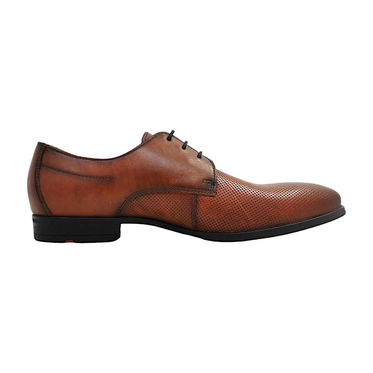 Lloyd ROUEN- FABIUS GARDA GS. 2476234 Braun 34 Cocos