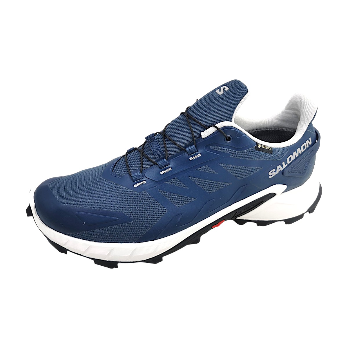 Salomon Supercross 4 GTX L45447400 Blau spellbound/lunar rock