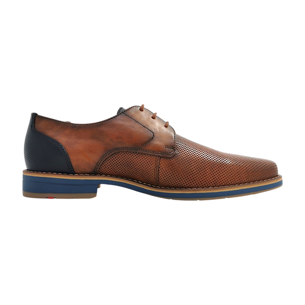 Lloyd 16-017-11 Braun brown/navy 110
