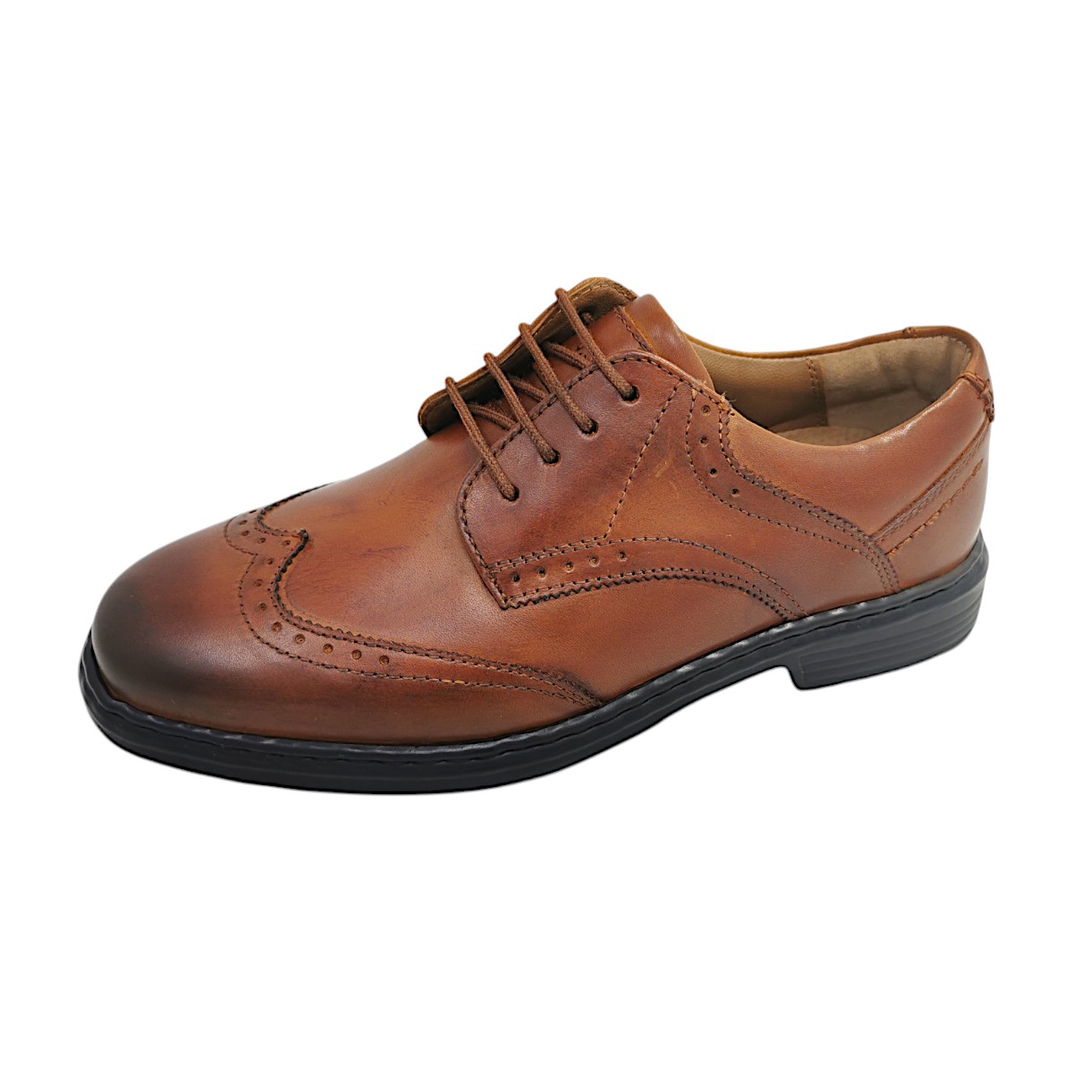 Josef Seibel Alastair 14 Herrenschuhe eleganter Schnürer Braun Freizeit (cognac 370, Größe 42 EU) Josef Seibel Alastair 14 Herrenschuhe eleganter Schnürer Braun Freizeit (cognac 370, Größe 42 EU)