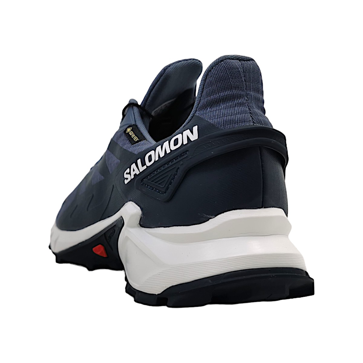 Salomon Supercross 4 GTX L47462300 Grau Grisai/Wht/Carbon