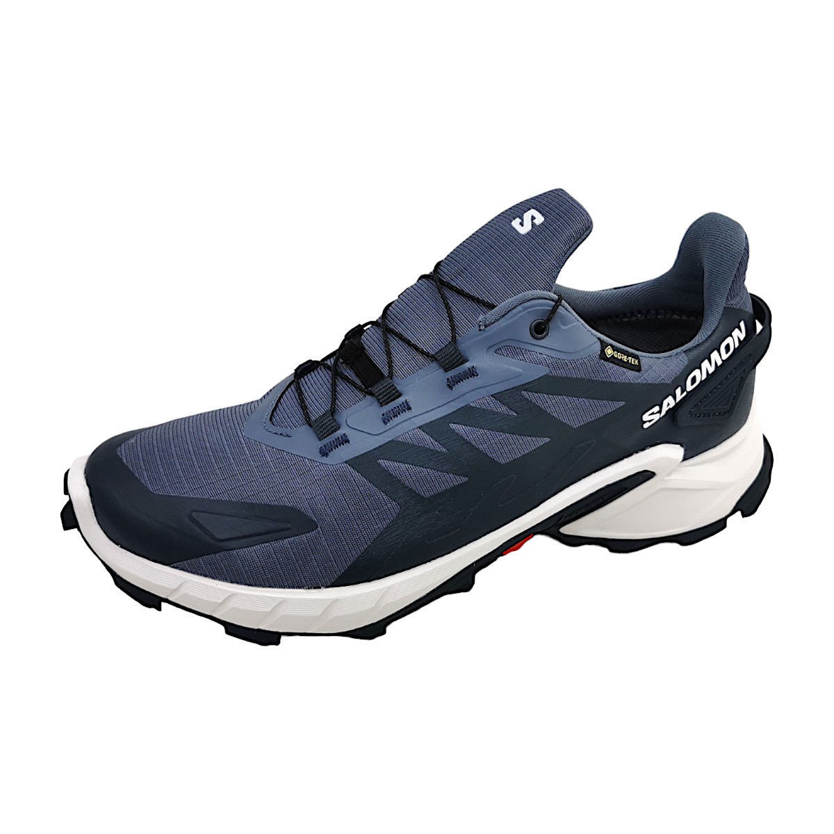 Salomon Supercross 4 GTX L47462300 Grau Grisai/Wht/Carbon