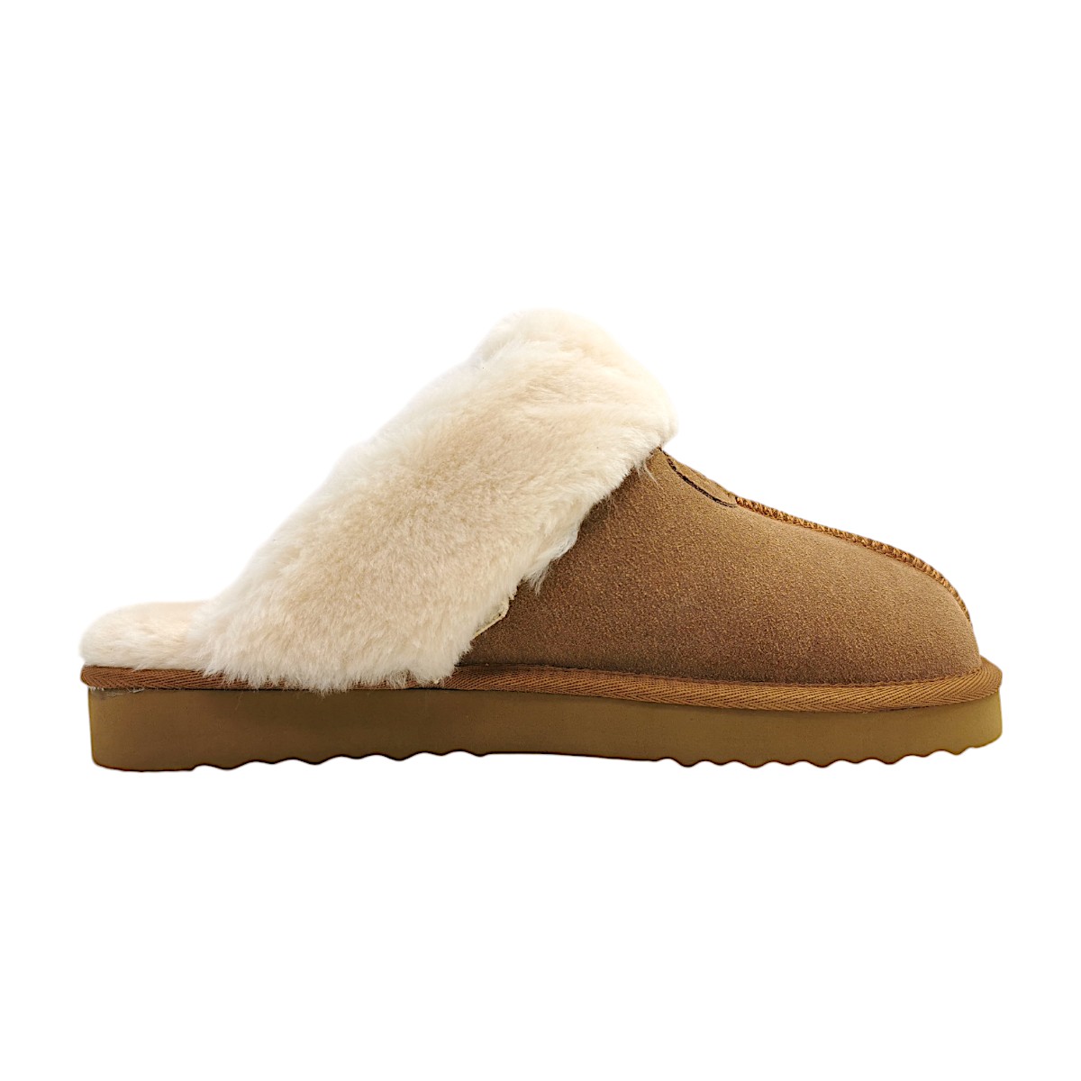 OOG OBTCM22 Braun Camel