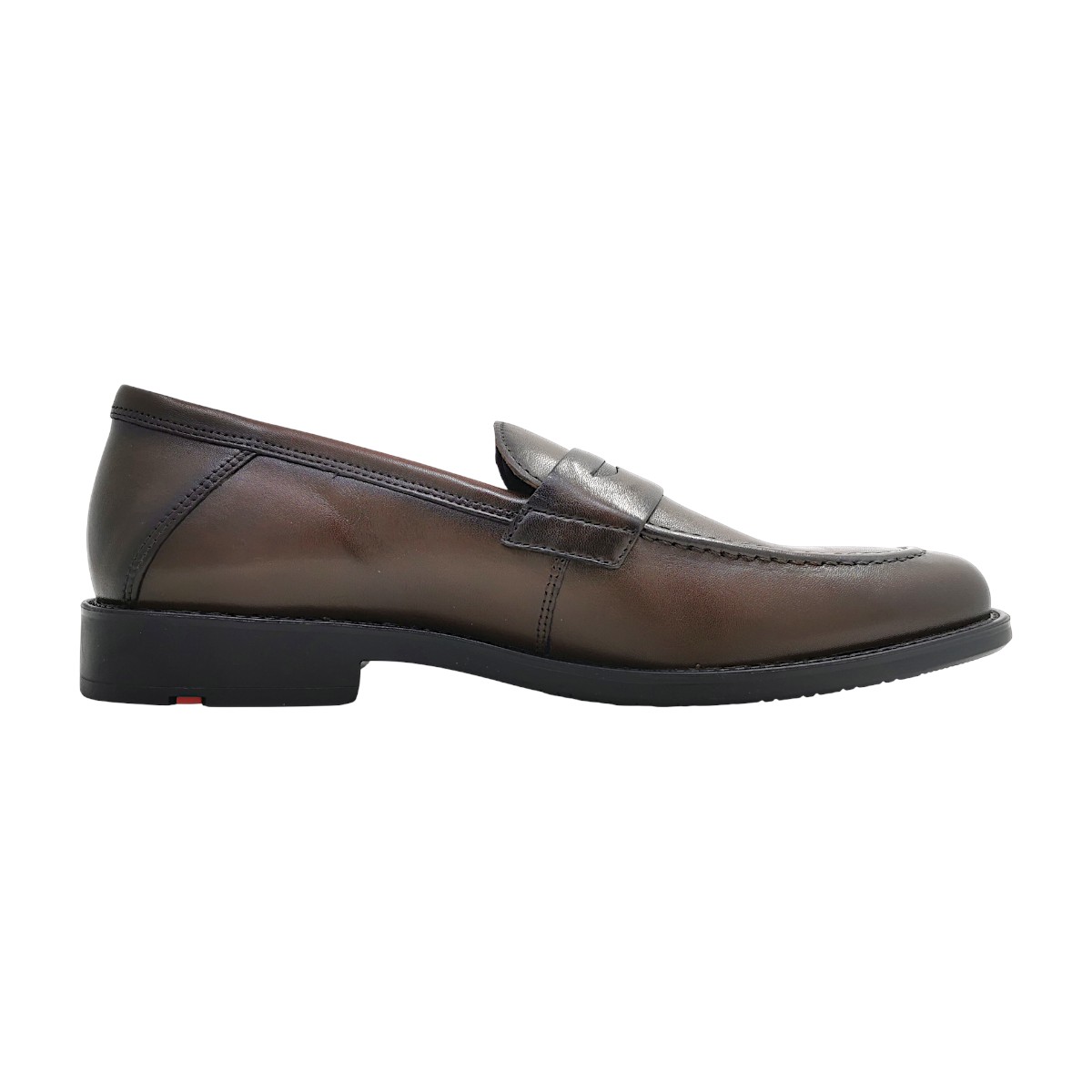 Lloyd Jerry SL 25-503-07 Braun moro 07