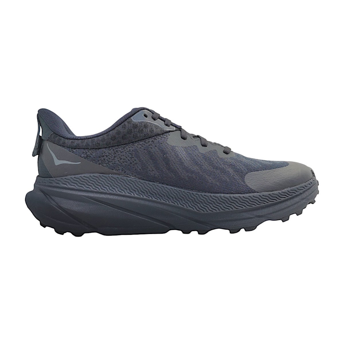 Hoka Challenger GTX 1134501F Schwarz Black Hoka Challenger GTX 1134501F Schwarz Black